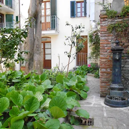Aparthotel Domus *